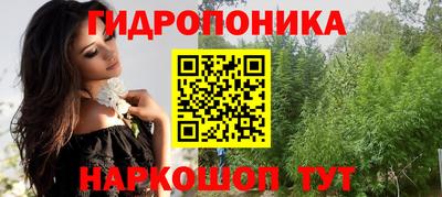 spice Краснознаменск