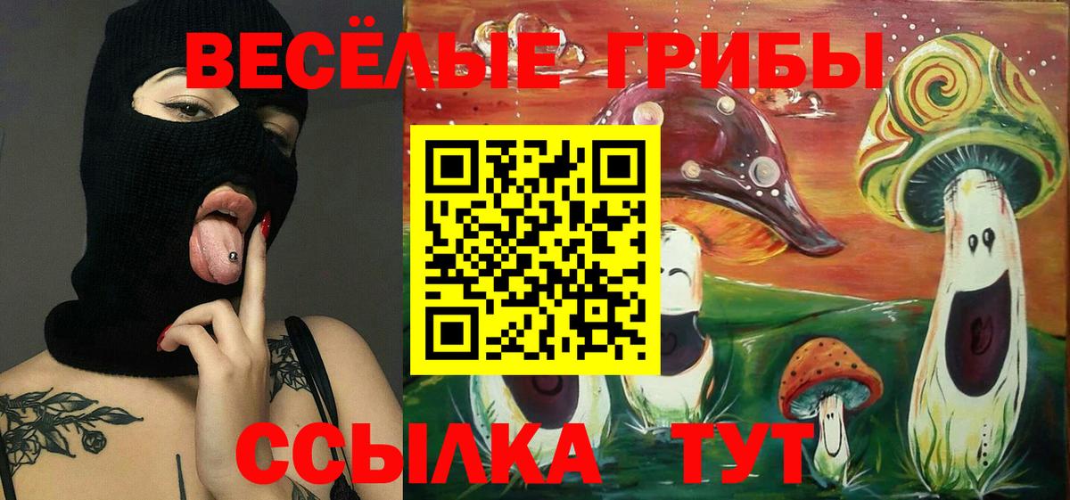 Псилоцибиновые грибы Psilocybine cubensis Каменск-Шахтинский
