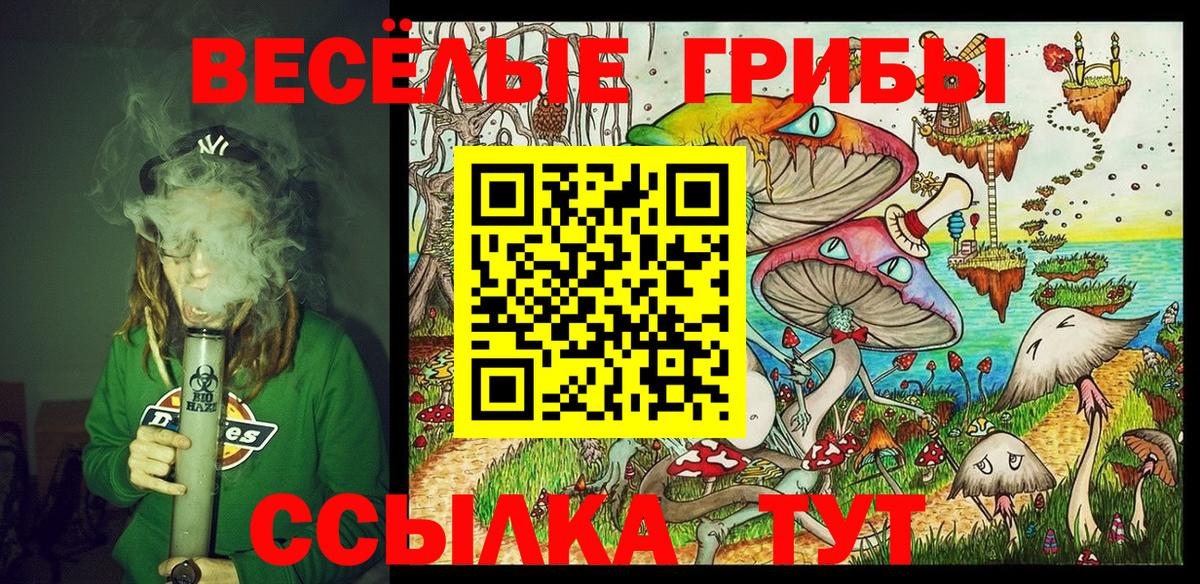 Каменск-Шахтинский  Псилоцибиновые грибы мухоморы  Вход с VPN 